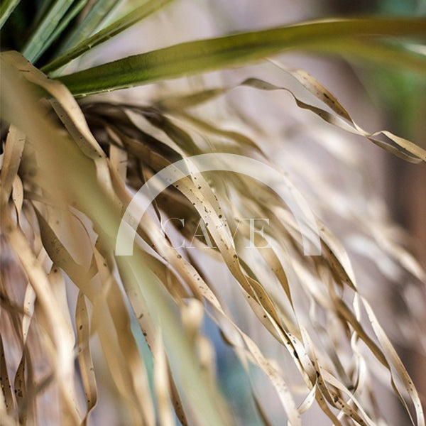 Indoor Artificial Plants - Agave Palm Tree - More Sizes