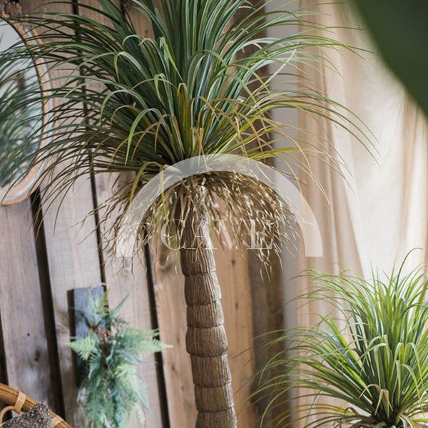 Indoor Artificial Plants - Agave Palm Tree - More Sizes
