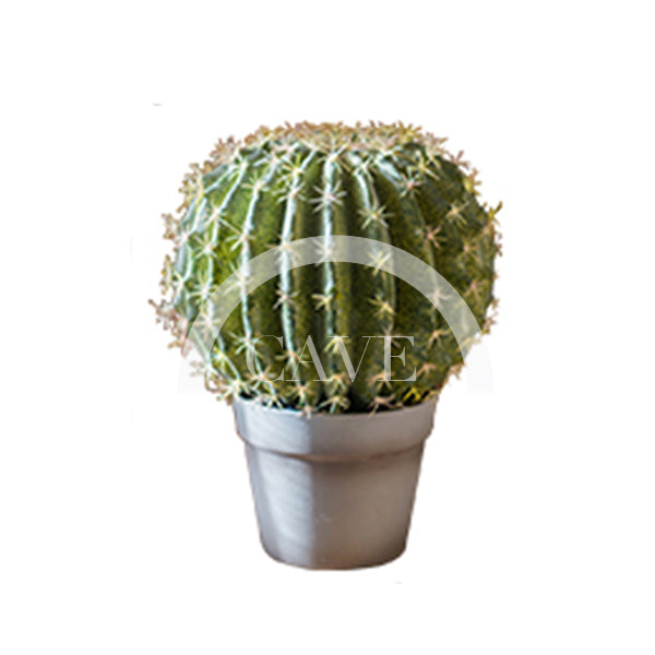 Indoor Artificial Plants - Ball Cactus