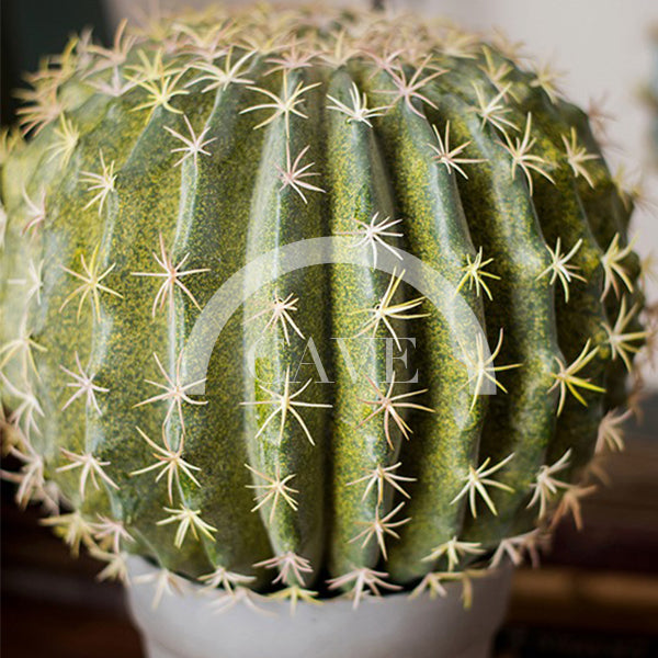 Indoor Artificial Plants - Ball Cactus