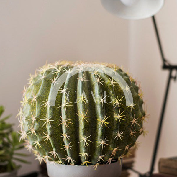 Indoor Artificial Plants - Ball Cactus