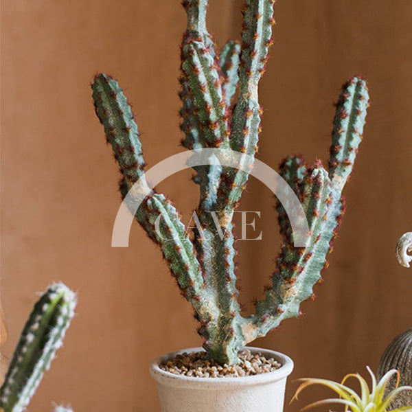 Indoor Artificial Plants - Cactus with Red Accent
