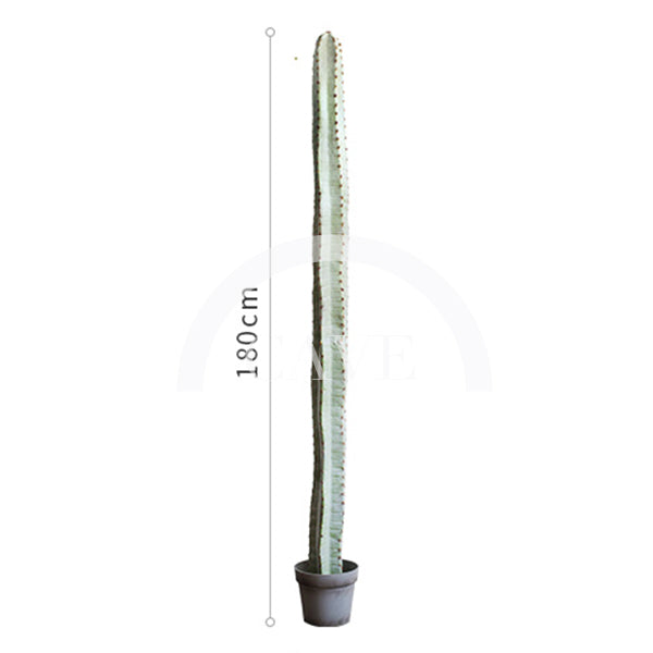 Indoor Artificial Plants - Cereus Cactus - More Sizes