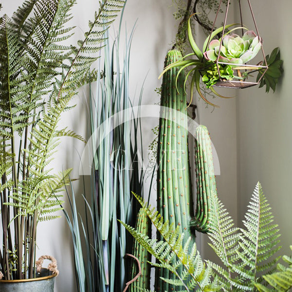 Indoor Artificial Plants - Artificial Espostoa Cactus