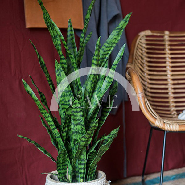 Indoor Artificial Plants - Tiger Tail Orchid with Green Leaves - More Sizes