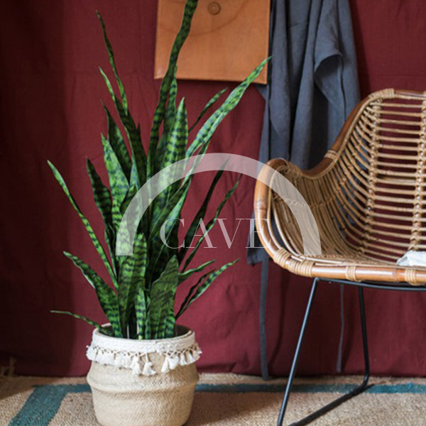 Indoor Artificial Plants - Tiger Tail Orchid with Green Leaves - More Sizes