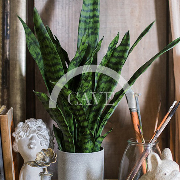 Indoor Artificial Plants - Tiger Tail Orchid with Green Leaves - More Sizes