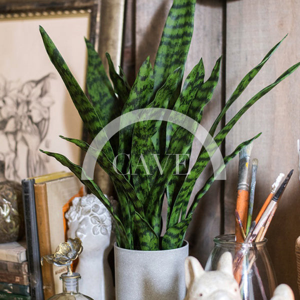 Indoor Artificial Plants - Tiger Tail Orchid with Green Leaves - More Sizes