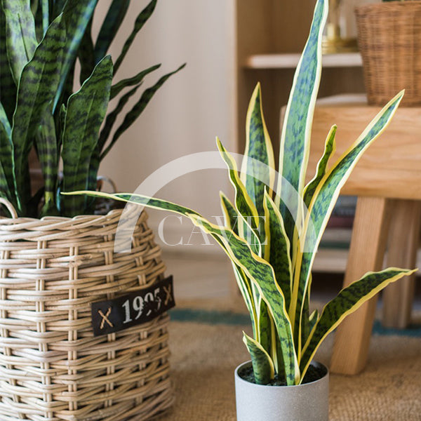 Indoor Artificial Plants - Tiger Tail Orchid with Yellow Leaves - More Sizes