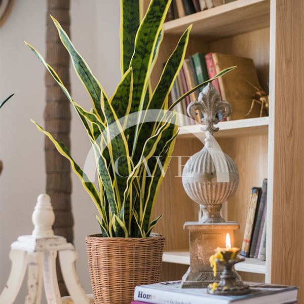 Indoor Artificial Plants - Tiger Tail Orchid with Yellow Leaves - More Sizes