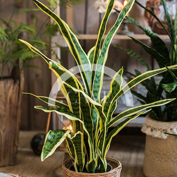 Indoor Artificial Plants - Tiger Tail Orchid with Yellow Leaves - More Sizes