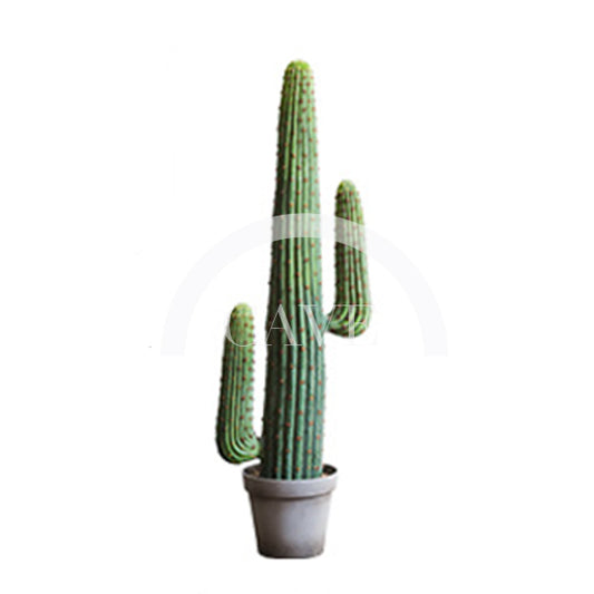 Indoor Artificial Plants - Artificial Espostoa Cactus