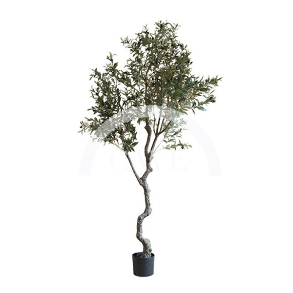 Indoor Artificial Plants Hong Kong Olive Tree Cave Hong Kong